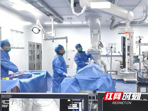 汝城縣人民醫院獲評心血管疾病防治技術牽頭單位，引領區域健康服務新篇章